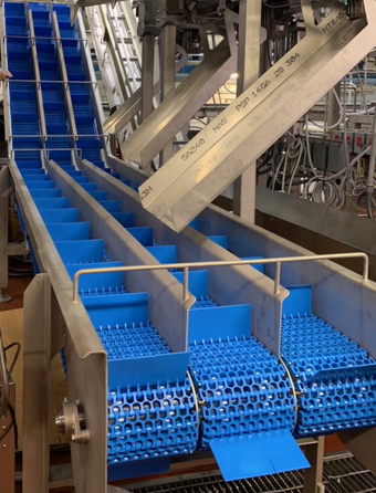 Triple Radius Conveyor for Chicken Breasts